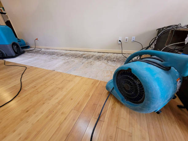 Professional Water Damage Repair technician working in Westminster, MA